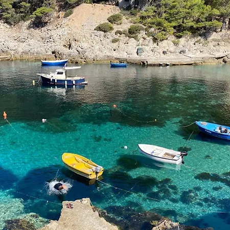 Polly With Swimming Pool Babino Polje