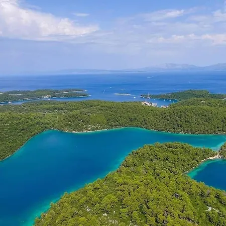 Polly With Swimming Pool Babino Polje